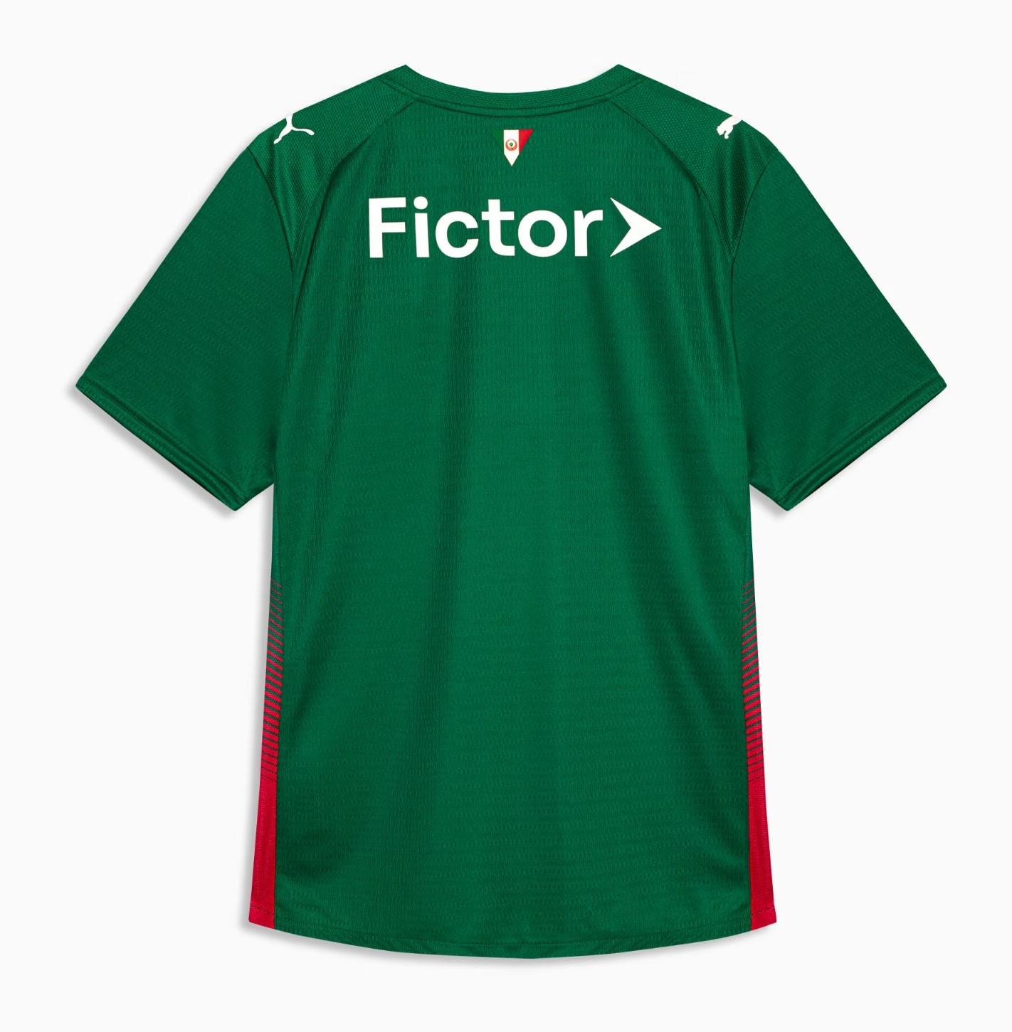 Palmeiras 2026 Home Kit