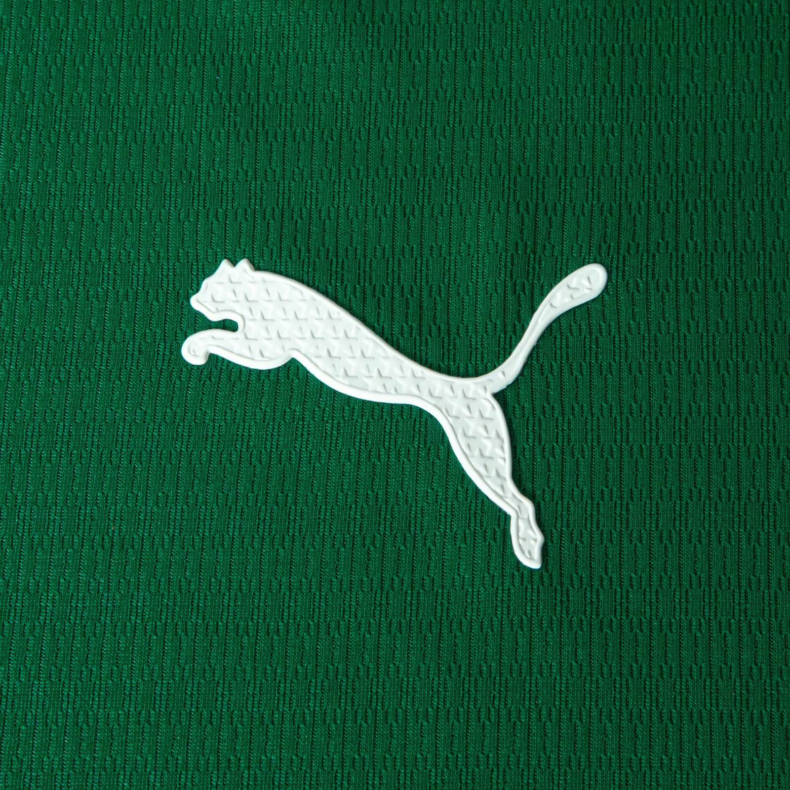Palmeiras 2026 Home Kit