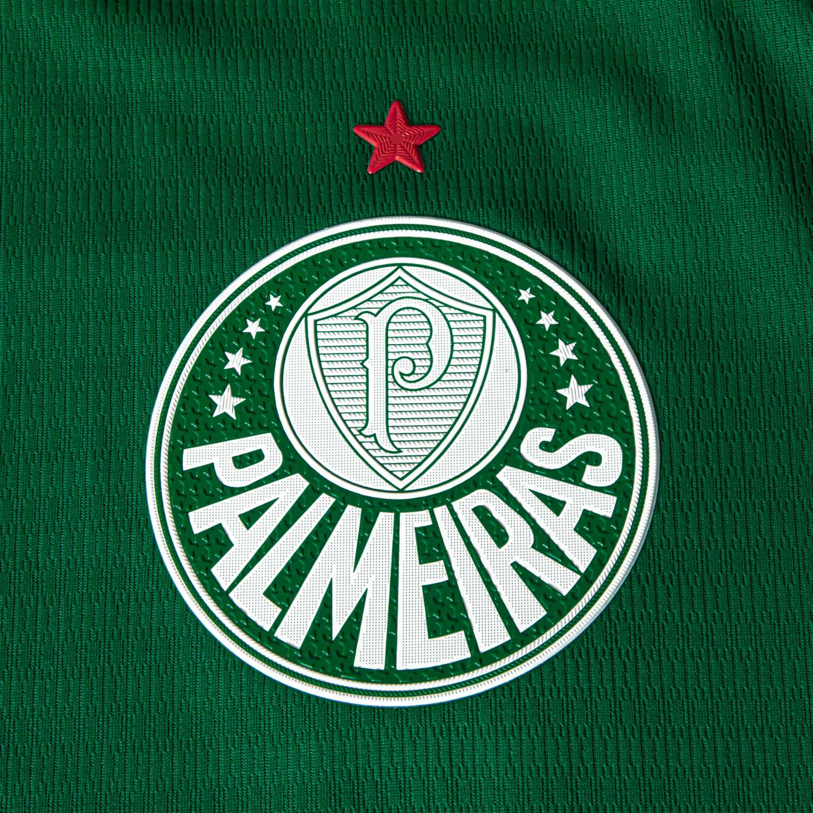 Palmeiras 2026 Home Kit