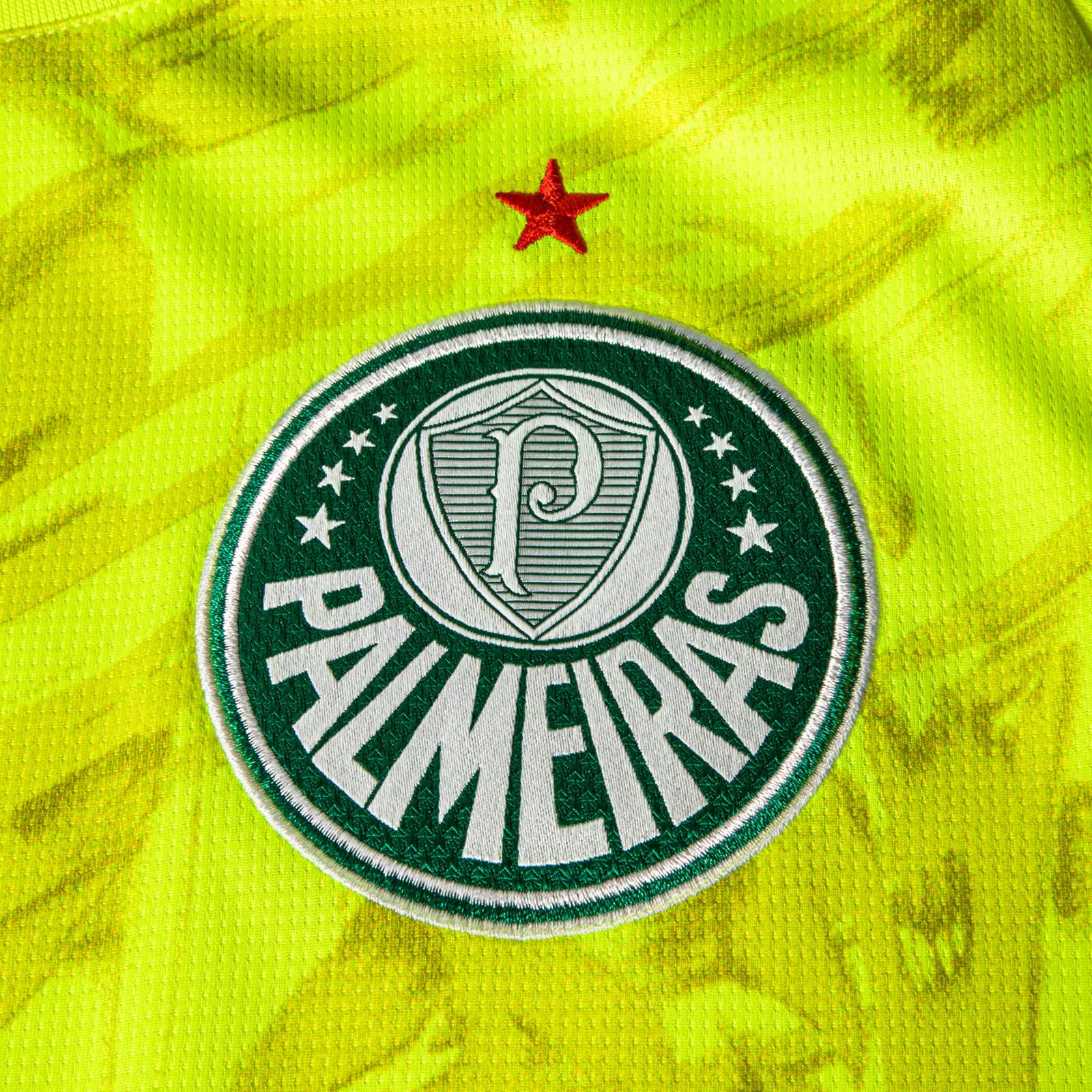 Palmeiras 2026 GK 2 Kit