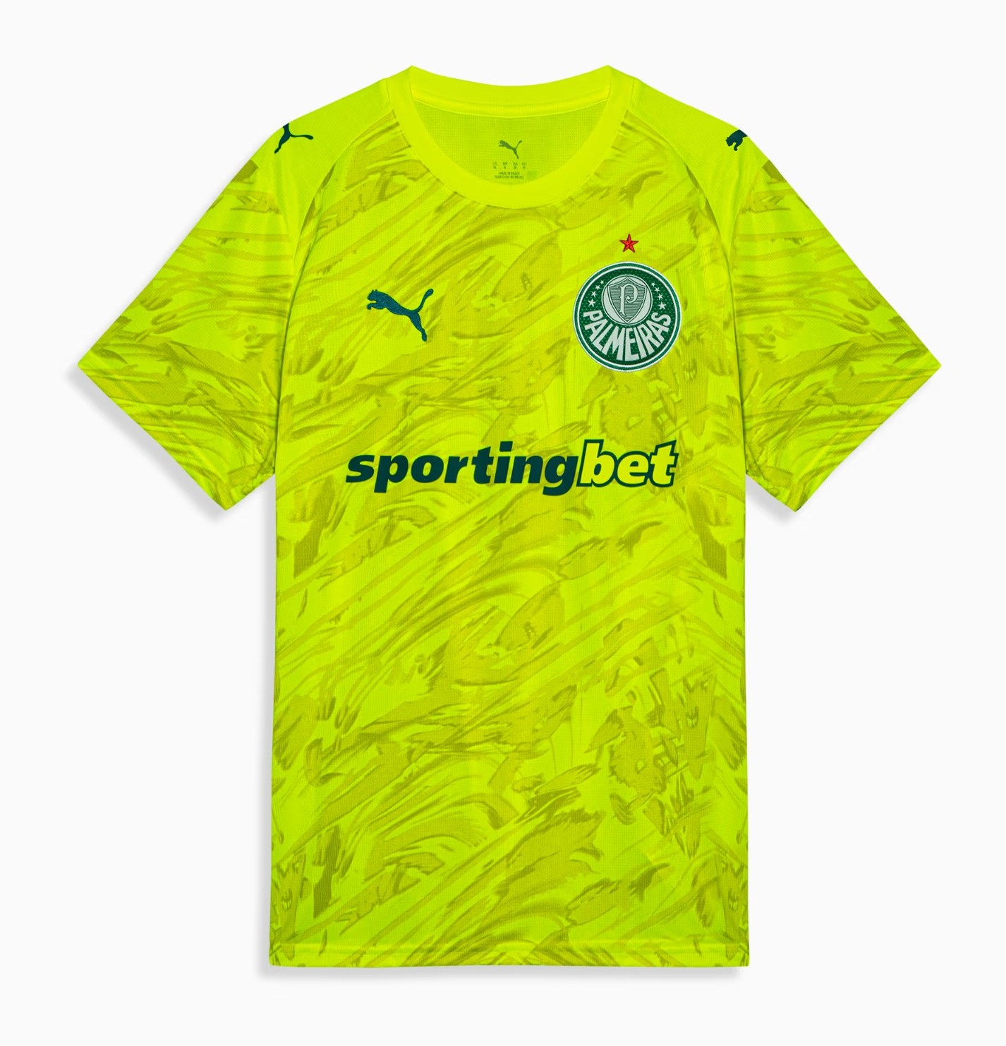 Palmeiras 2026 GK 2 Kit