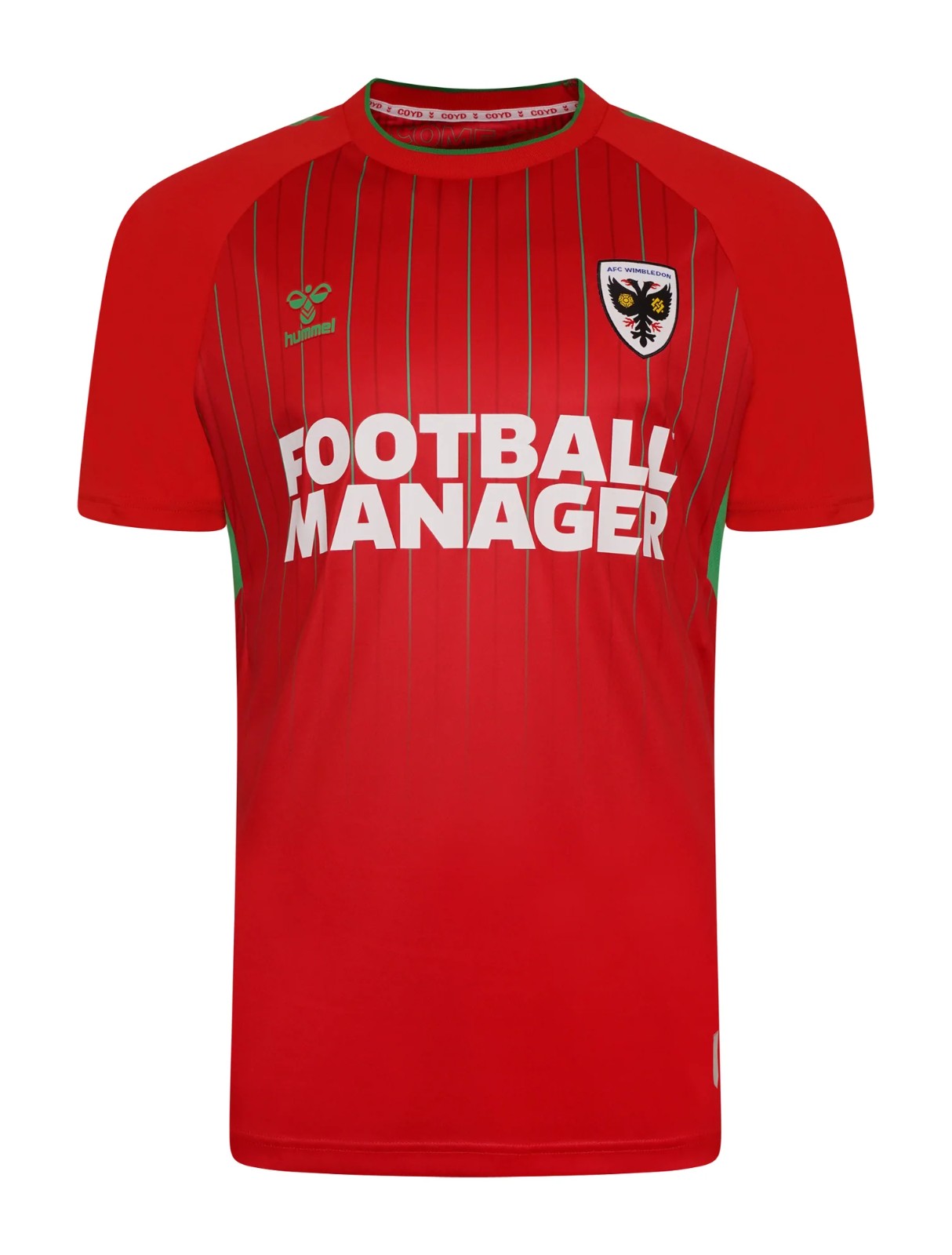 AFC Wimbledon 2022-23 Third Kit Third kit front view
