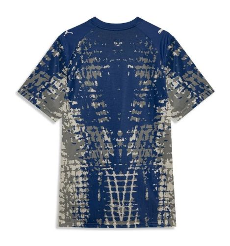 Palmeiras 2026 GK Special Kit