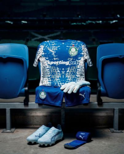 Palmeiras 2026 GK Special Kit