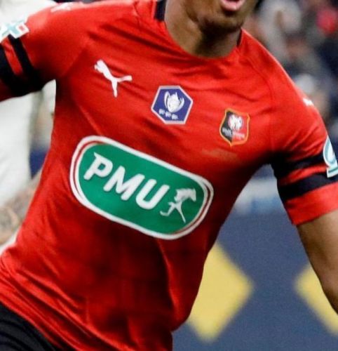 Stade Rennais 2018-19 Cup Home Kit