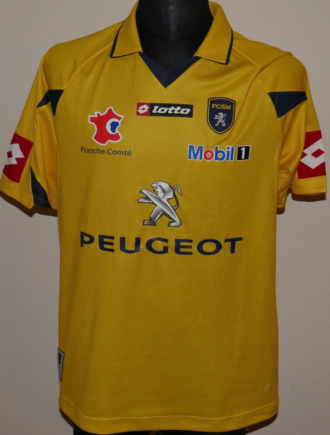 Sochaux-Montbéliard 2010-11 Home Kit