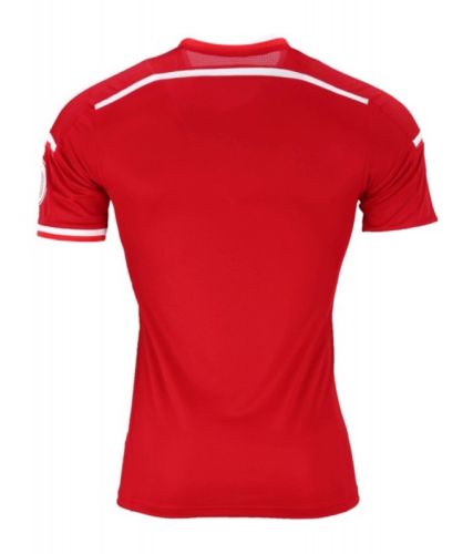 Olympiacos Piraeus 2015-16 Third Kit