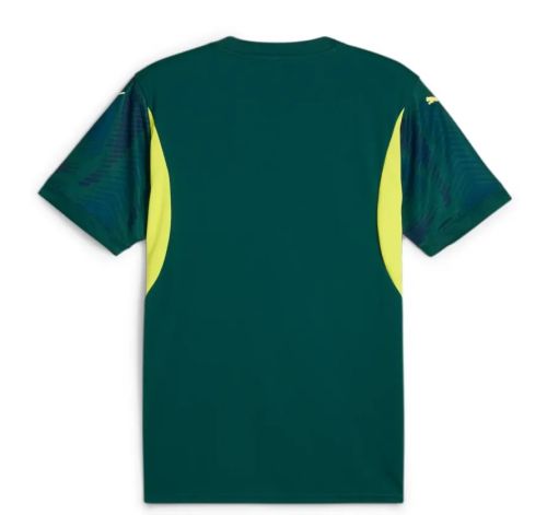 Shakhtar Donetsk 2024-25 European GK 4 Kit