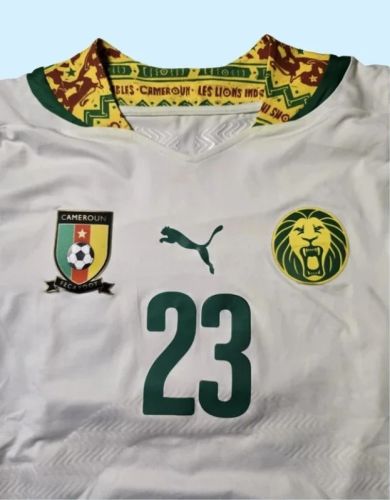 Cameroon 2014 Third Kit