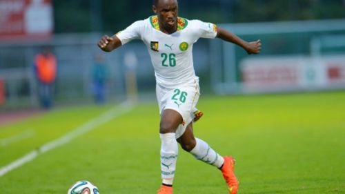 Cameroon 2014 Third Kit