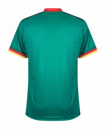Cameroon 2022 Home Kit