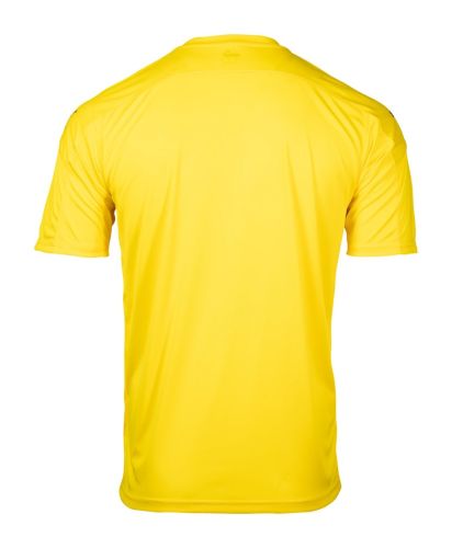 Plymouth Argyle 2020-21 GK Home Kit
