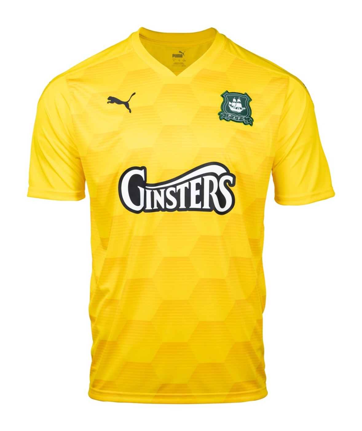 Plymouth Argyle 2020-21 GK Home Kit