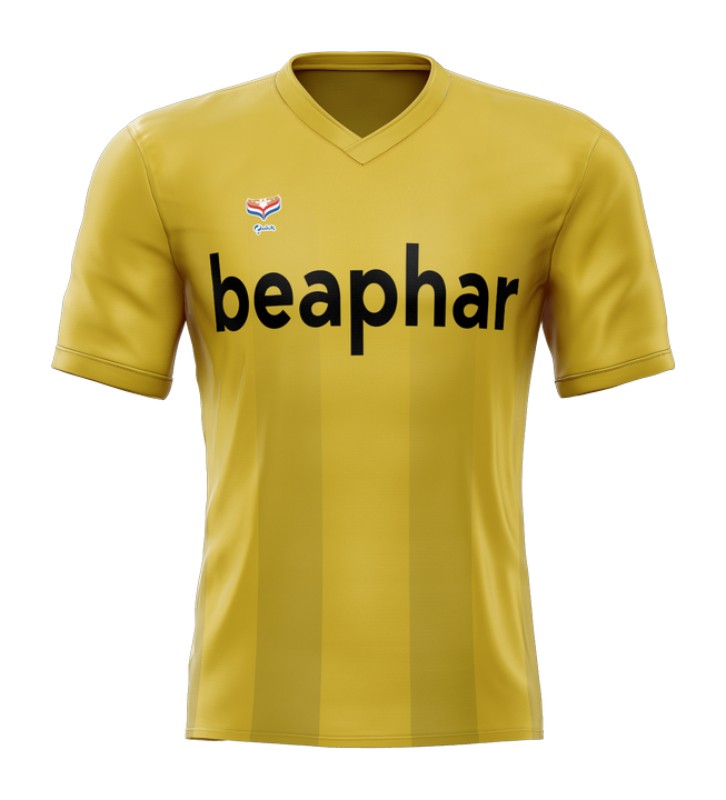 DS'79 1987-88 Home Kit