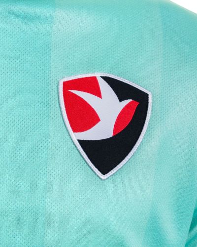 Cheltenham Town 2024-25 Away Kit