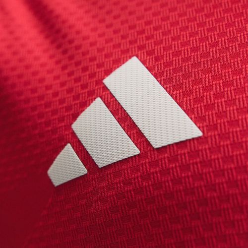 Manchester United 2025-26 Home 2 Kit