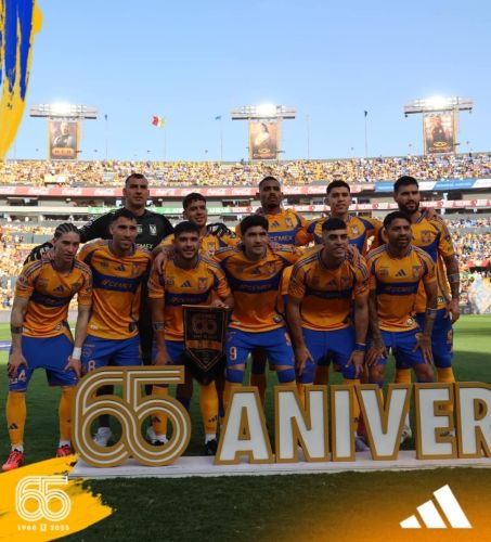 Tigres UANL 2025-26 GK 1 Kit