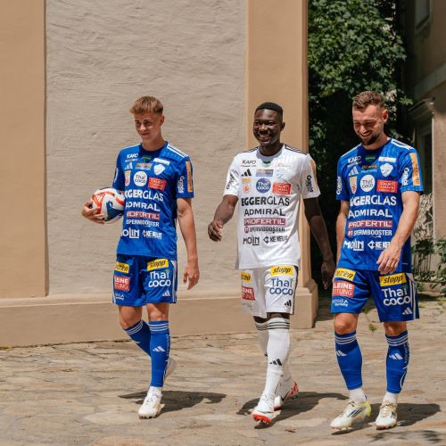 TSV Hartberg 2025-26 Away Kit
