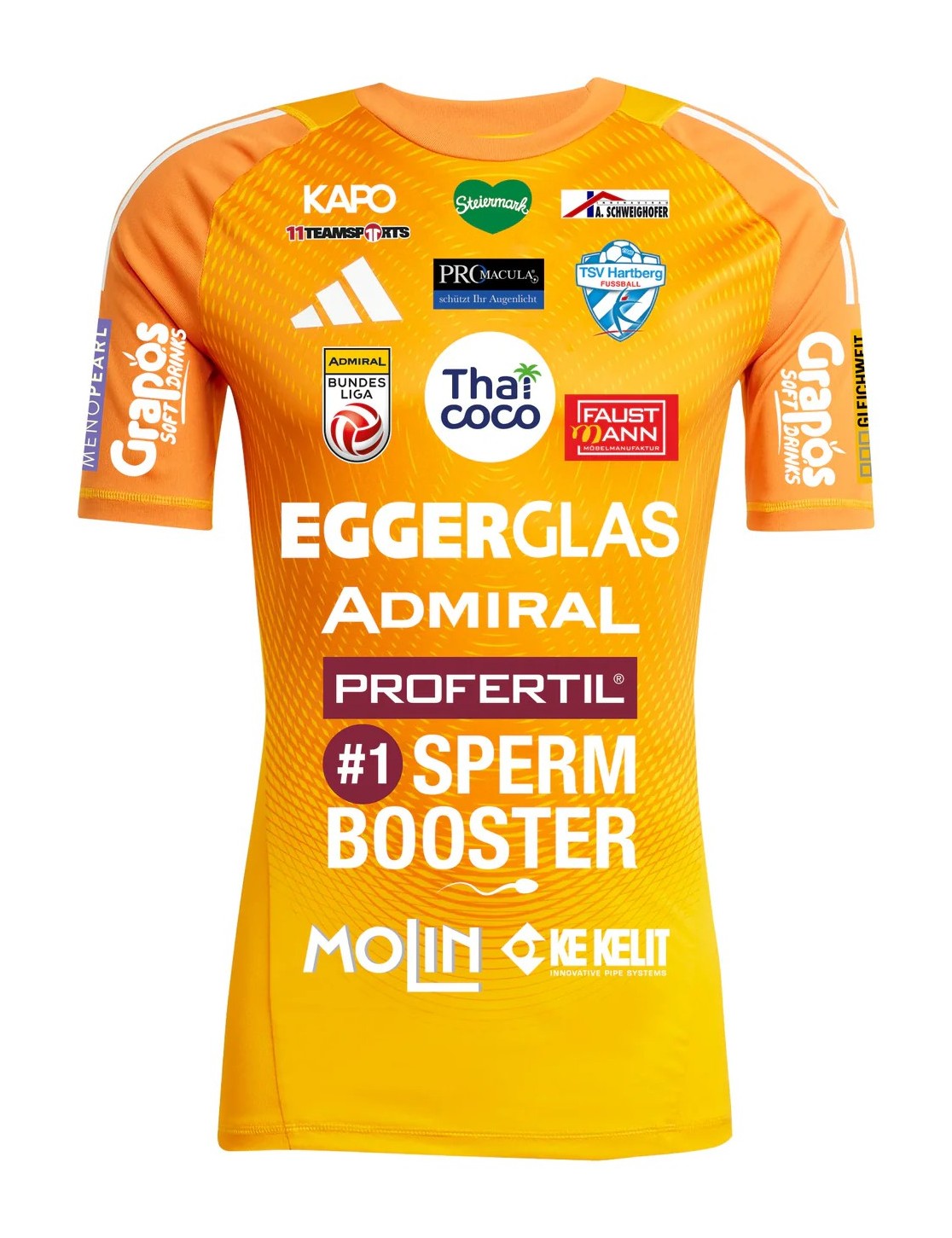 TSV Hartberg 2025-26 GK 1 Kit