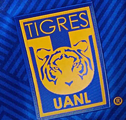 Tigres UANL 2024-25 Away Kit