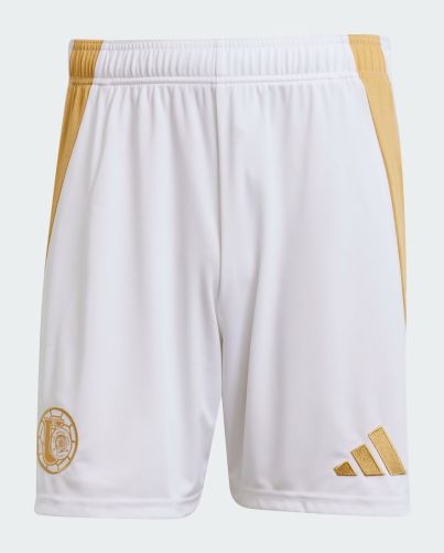 Tigres UANL 2024-25 Third Kit