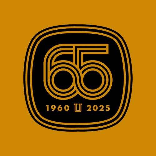 Tigres UANL 2024-25 Third V2 Kit