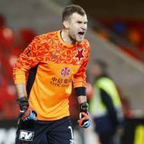 Slavia Praha 2018-19 GK 2 Kit