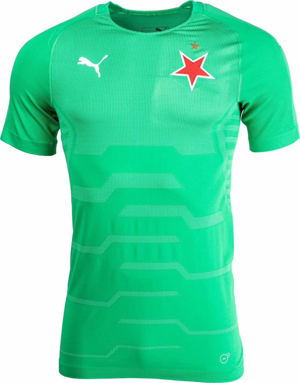 Slavia Praha 2018-19 GK 4 Kit