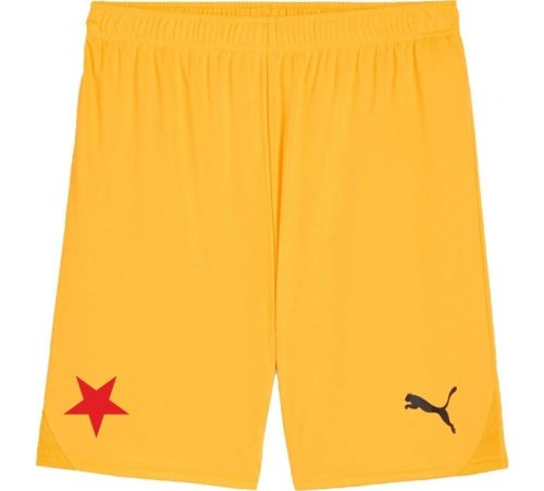 Slavia Praha 2024-25 GK 2 Kit
