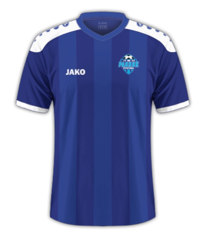 Radnik Surdulica 2017-18 Home Kit