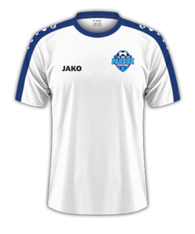Radnik Surdulica 2018-19 Away Kit