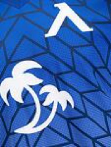 Levski Sofia 2023-24 Home Kit