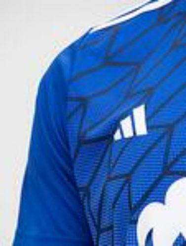 Levski Sofia 2023-24 Home Kit