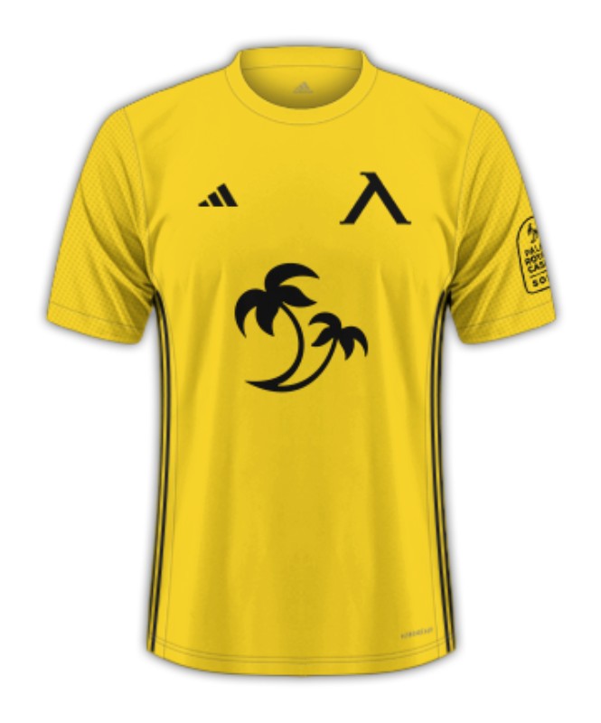 Levski Sofia 2023-24 Third Kit