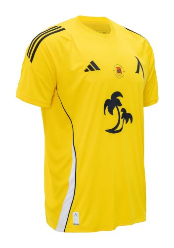 Levski Sofia 2024-25 Third Kit