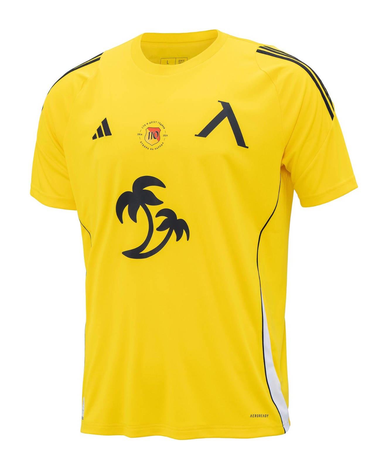 Levski Sofia 2024-25 Third Kit