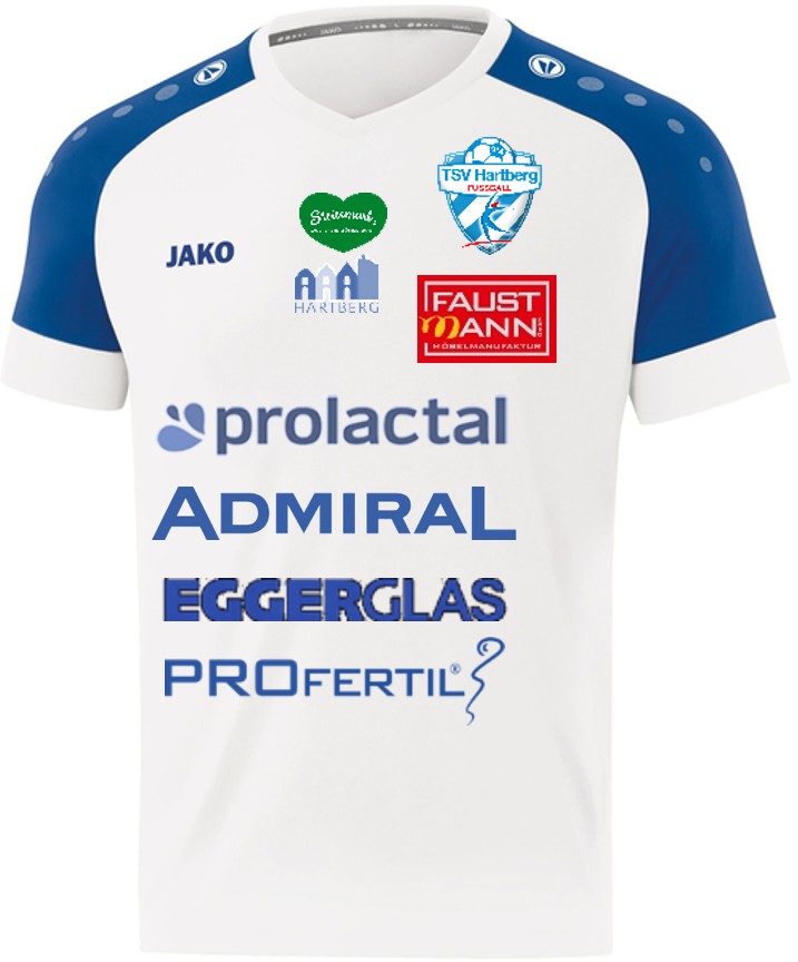 TSV Hartberg 2020-21 Home Kit