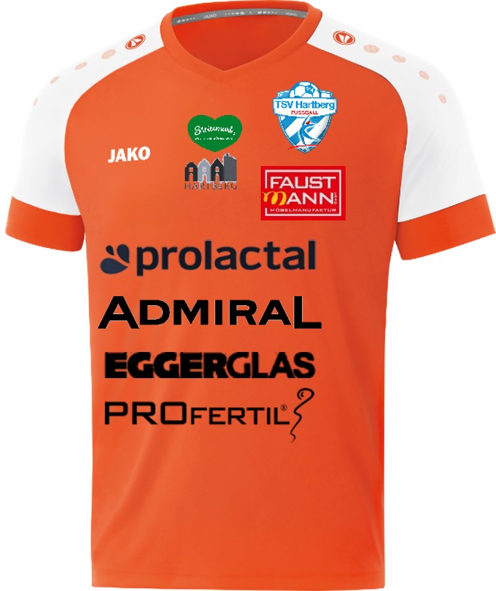 TSV Hartberg 2020-21 Away Kit