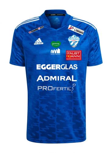TSV Hartberg 2021-22 Home Kit