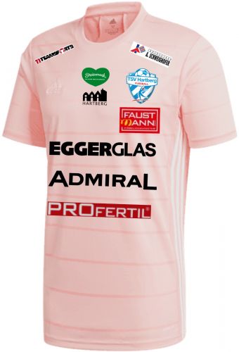 TSV Hartberg 2021-22 Away Kit