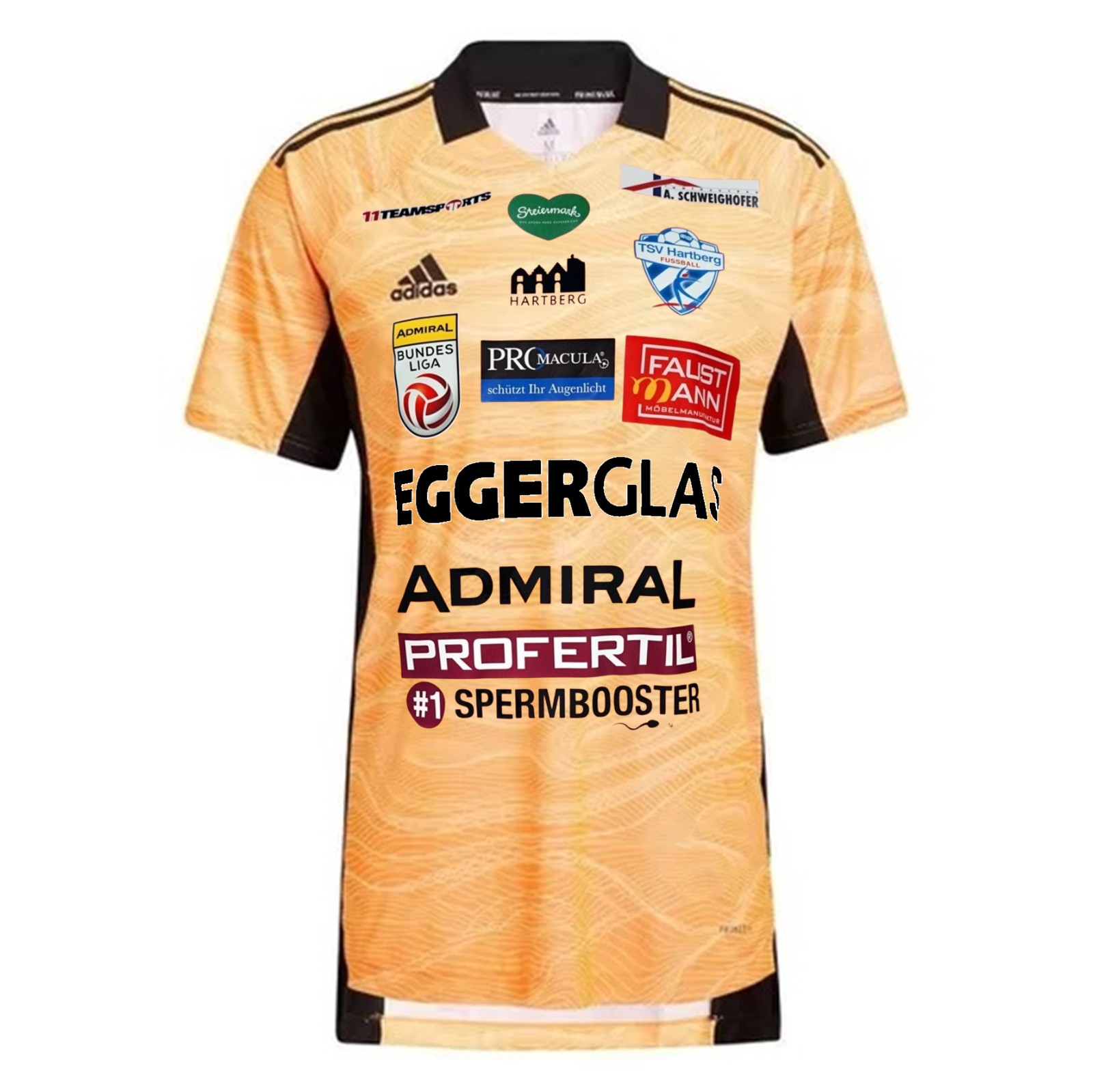 TSV Hartberg 2021-22 GK 1 Kit
