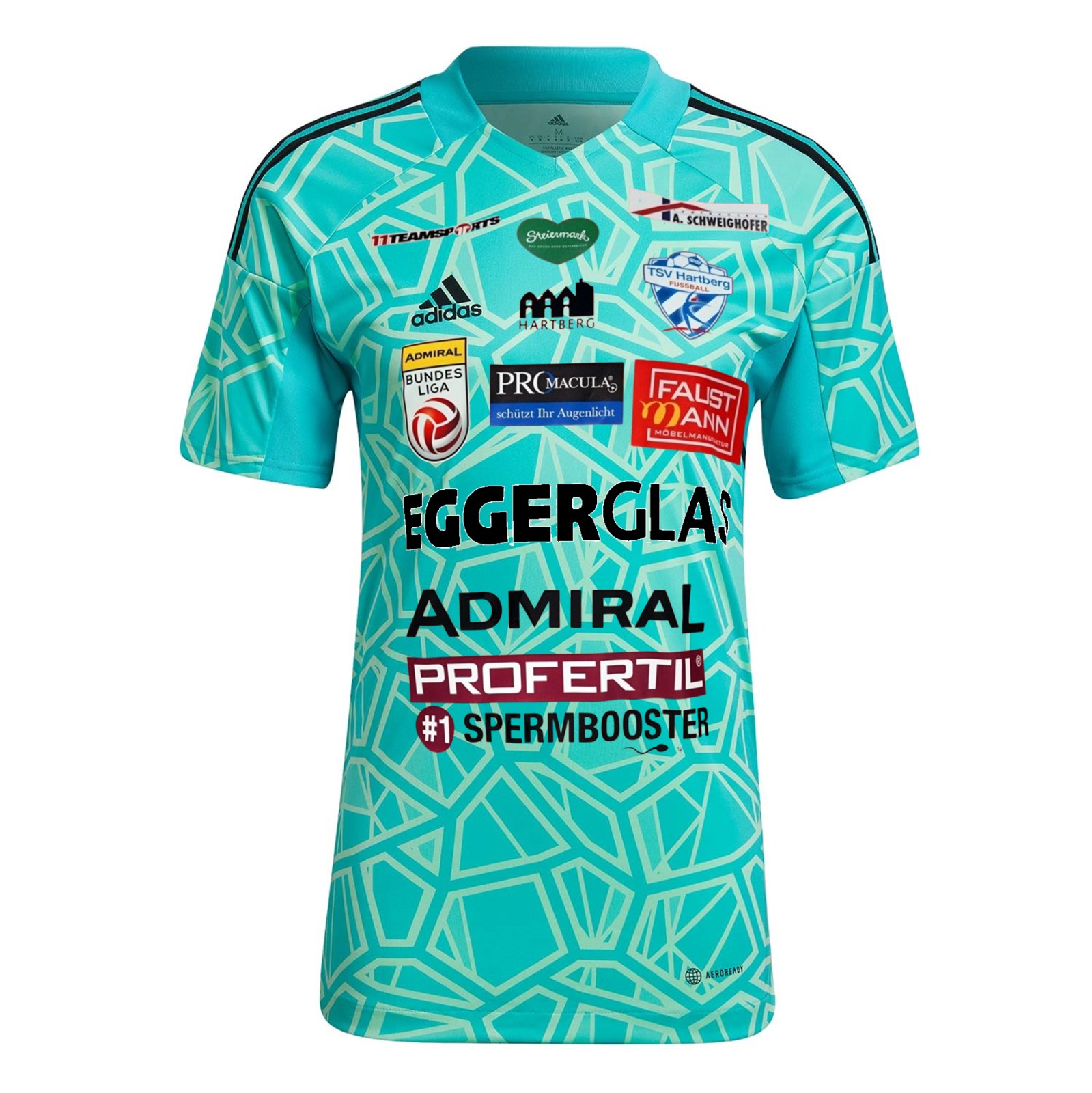TSV Hartberg 2022-23 GK Third Kit