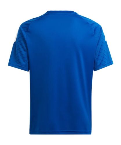 TSV Hartberg 2023-24 Home Kit