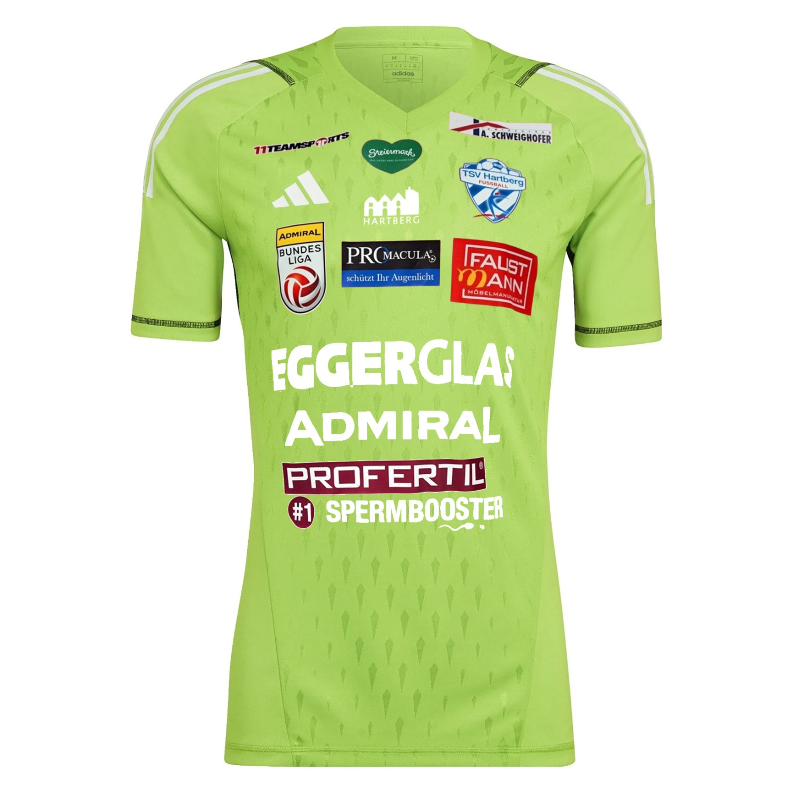 TSV Hartberg 2023-24 GK 1 Kit