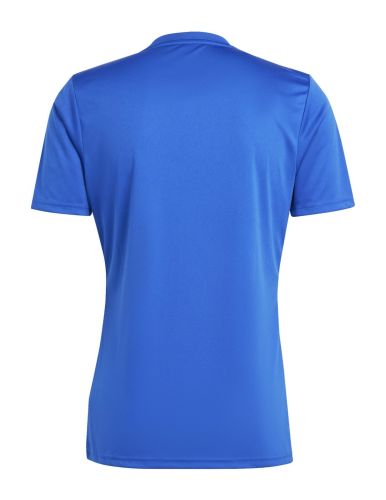 TSV Hartberg 2024-25 Home Kit