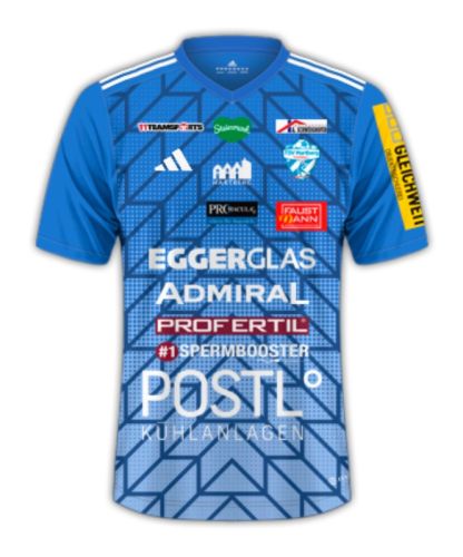 TSV Hartberg 2024-25 Home Kit