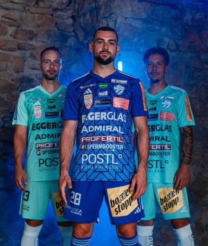 TSV Hartberg 2024-25 Home Kit