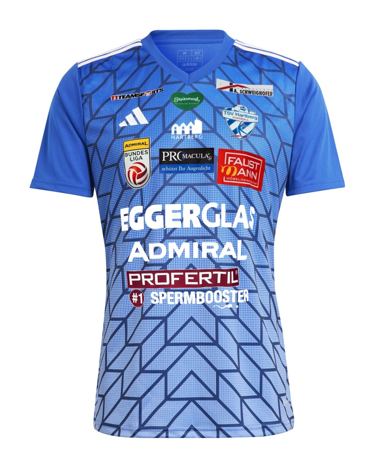 TSV Hartberg 2024-25 Home Kit