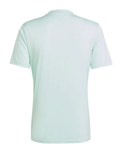TSV Hartberg 2024-25 Away Kit