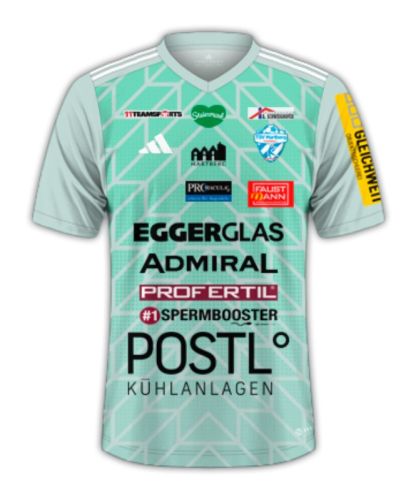 TSV Hartberg 2024-25 Away Kit